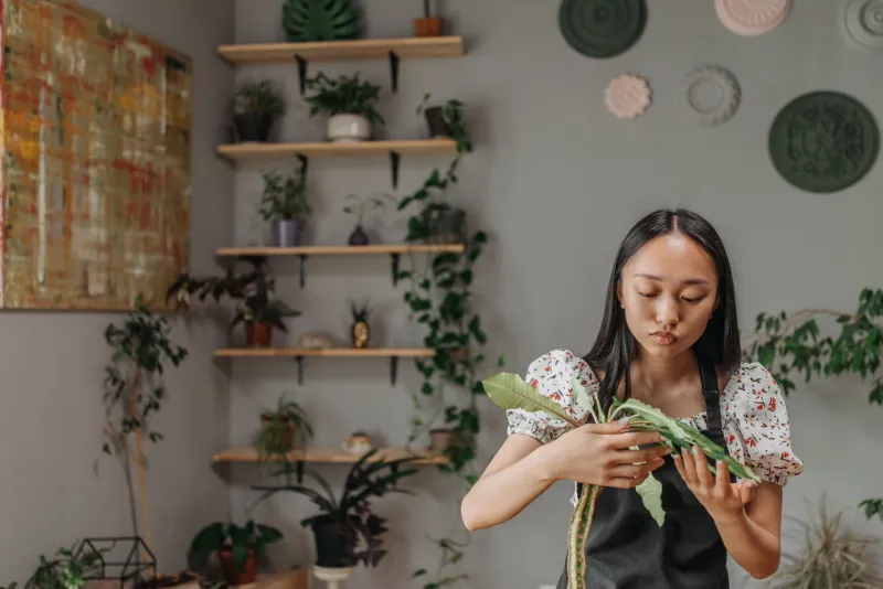 Fern Gully, Instagram Famous: What Your Obsession With Houseplants Says About Your Inner Life